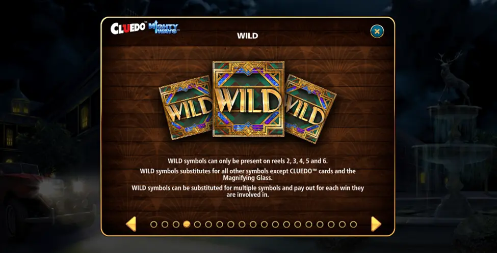 Wild Symbol