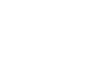 Baldazzi logo