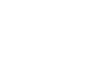 Bally Wulff logo