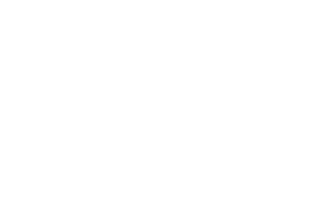 Evolution Gaming logo