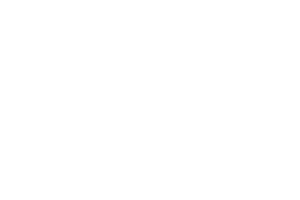 Foxium logo