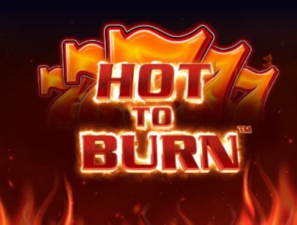 Hot to Burn logo