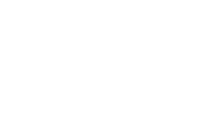 Iron Dog Studio logo