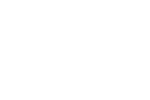 Leap Gaming logo