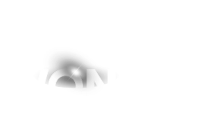 Light & Wonder logo
