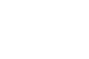 Octavian Gaming logo