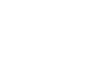 Playson logo