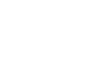 Skywind Group logo