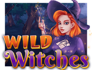 Wild Witches (Amatic Industies)
