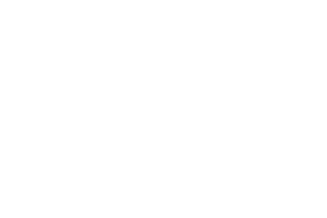 World Match logo