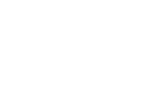 ZeusPlay logo
