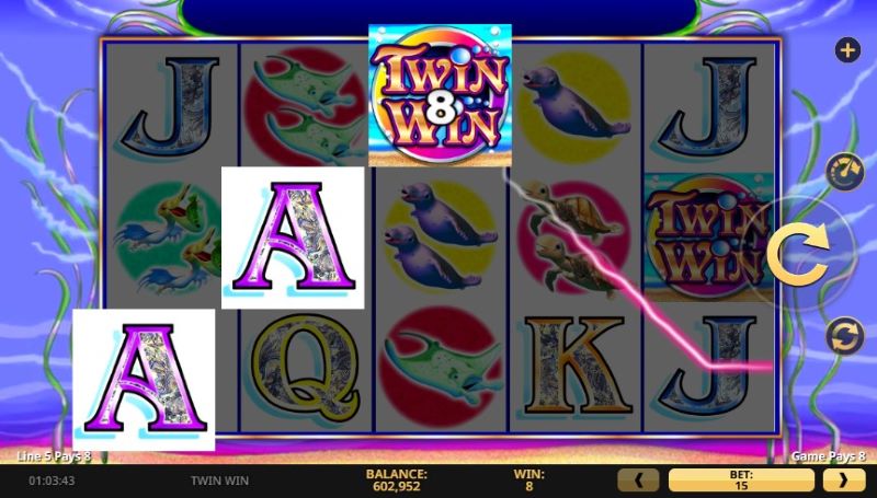Twin Win wild symbols
