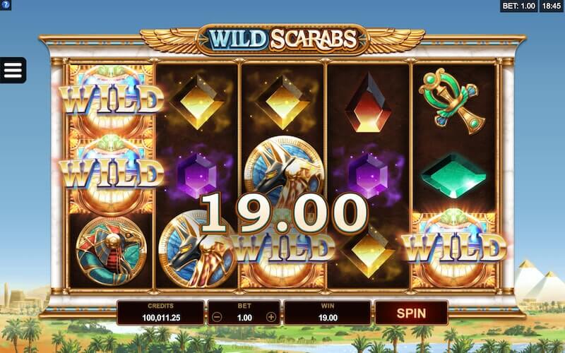Wild Deal is active after a wild symbol lands on reel three. Additional wilds on reels one and five create a $19 win.